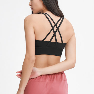 Fashion Collection Mesh V Sports Bra - LXM Fashion 