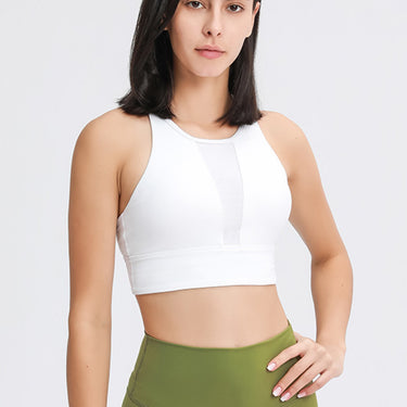 Fashion Collection Mesh V Sports Bra - LXM Fashion 