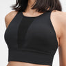 Fashion Collection Mesh V Sports Bra - LXM Fashion 
